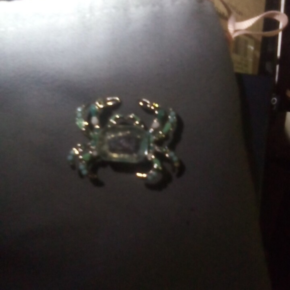 Crab Brooch